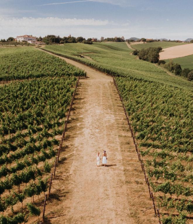 Bologna Tipps Italien Weingut Weinverkostung Wein Natur Landschaft Titelbild